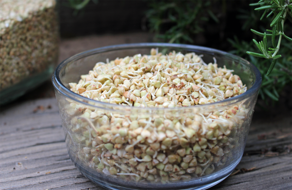 Sprouted Buckwheat Groats